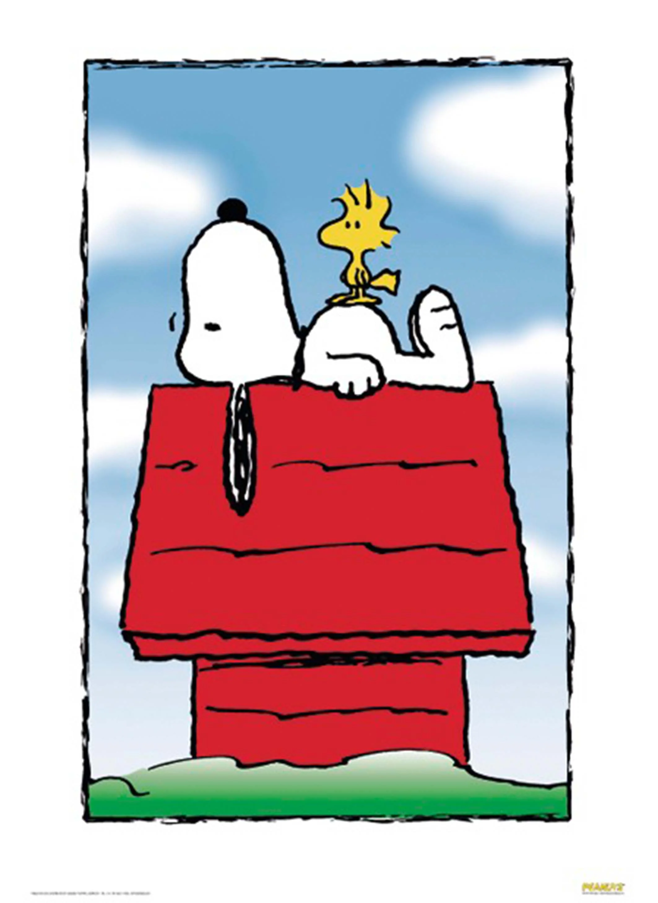 Vorschaubild 1