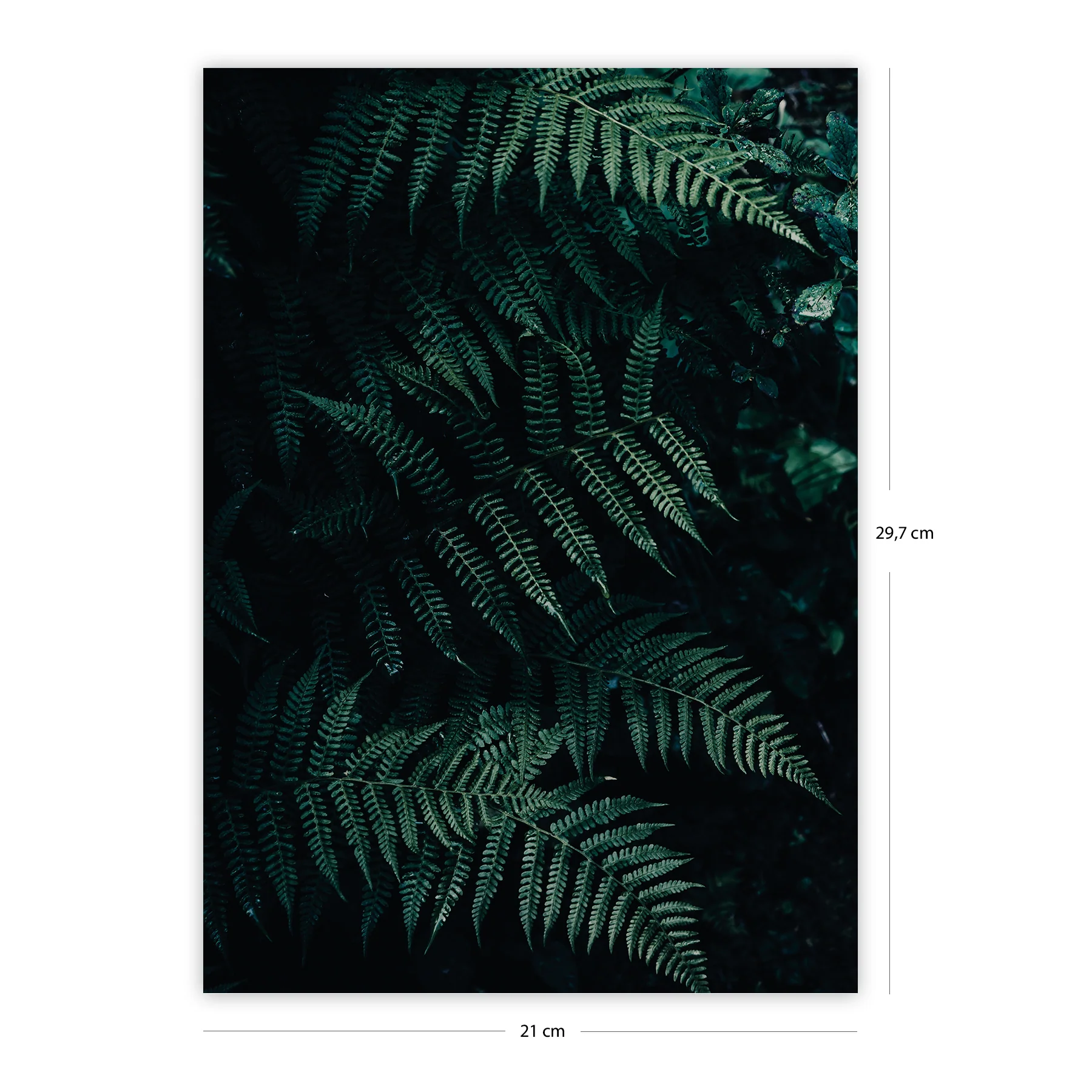 Produktbild 4
